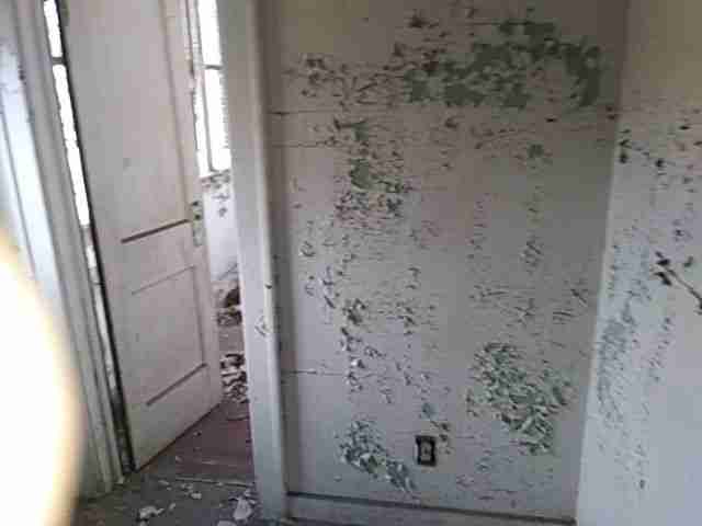 Testing again(24).jpg